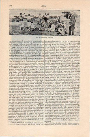 LAMINA V10468: Folklore en Siria
