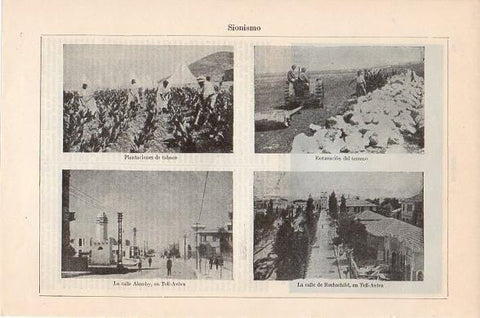 LAMINA V10453: Plantacion de tabaco, calle Alemby y calle Rothschild en Tel Aviv