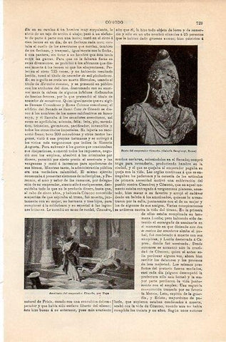 LAMINA V10679: Asesinato del emperador Comodo, por Vega