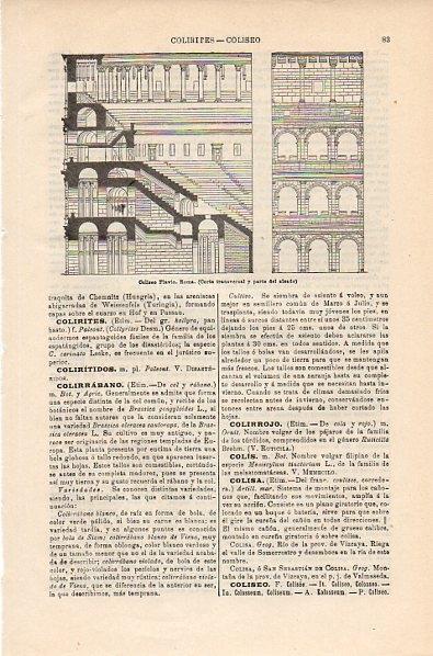 LAMINA V10575: Corte transversal del Coliseo en Roma