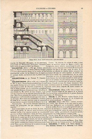 LAMINA V10575: Corte transversal del Coliseo en Roma