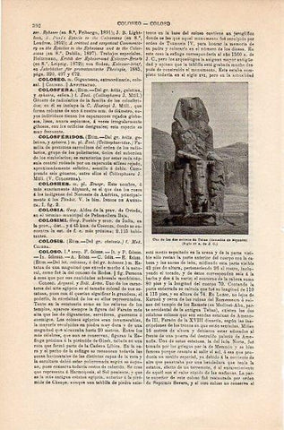 LAMINA V10625: Coloso de Memnon, Egipto