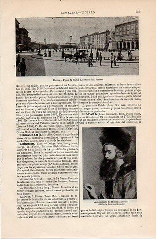 LAMINA V10197: Plaza de Carlos Alberto en Liorna