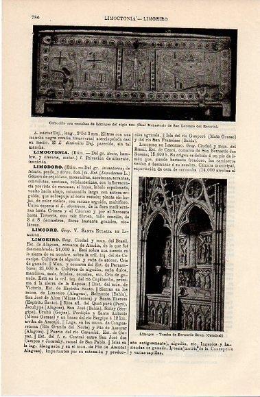 LAMINA V10123: Tumba de Bernardo Brun en la Catedral de Limoges