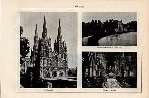 LAMINA V10162: La Catedral e iglesia de Saint Chad en Lichfield