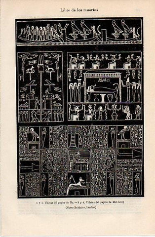 LAMINA V10169: Libro de los muertos