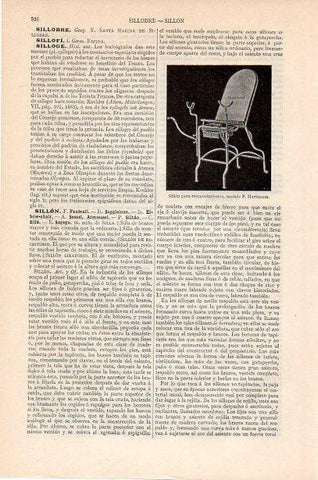 LAMINA V10403: Sillon para reconocimiento modelo Hartmann