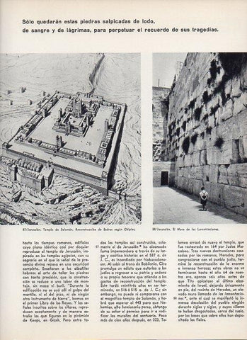 LAMINA V11337: Templo de Salomon, reconstruccion segun Chipiez