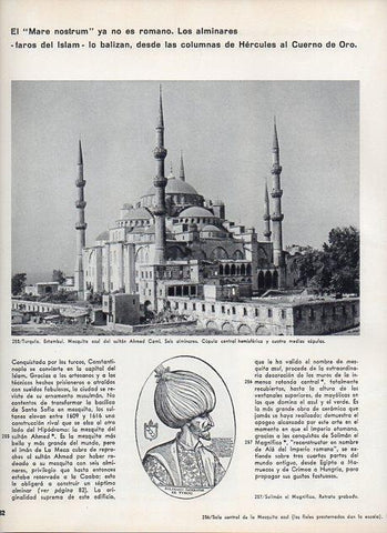 LAMINA V11386: Mezquita azul en Estambul