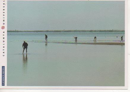 Postal E06879: El Delta de l'Ebre. Mariscadores
