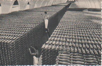 Postal E06941: Postal B/N Casa Codorniu- San Sadurní de Noya (España). Una bodega en invierno