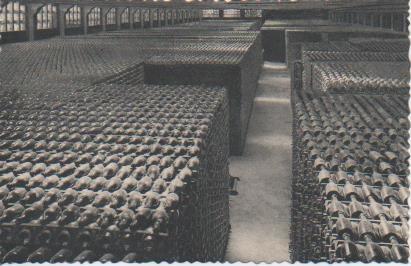 Postal E06940: Postal B/N Casa Codorniu- San Sadurní de Noya (España). Botellas envejeciendo