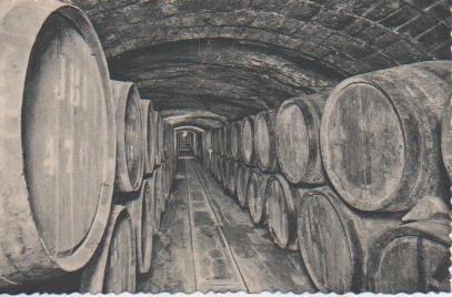 Postal E06939: Postal B/N. Casa Codorniu- San Sadurní de Noya (España). Vinos de crianza