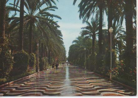 Postal E06923: Alicante.Explanada de España