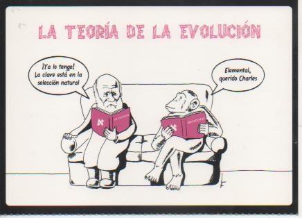 Postal E06691: La Teoría de la Evolución