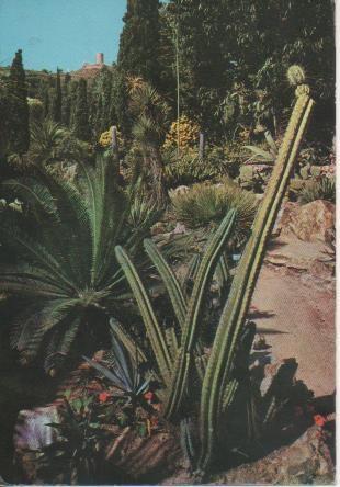Postal E06658: Blanes. Fundación Carlos Faust