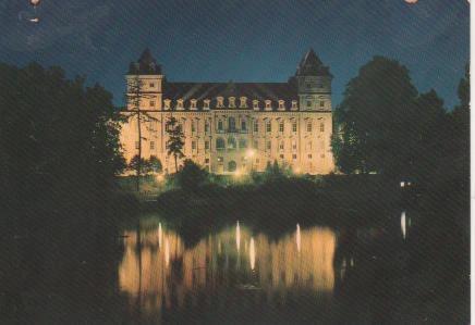 Postal E06792: Torino di note. Castello del Valentino