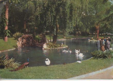 Postal E06797: Oviedo, Campo de S. Francisco. El Estnque