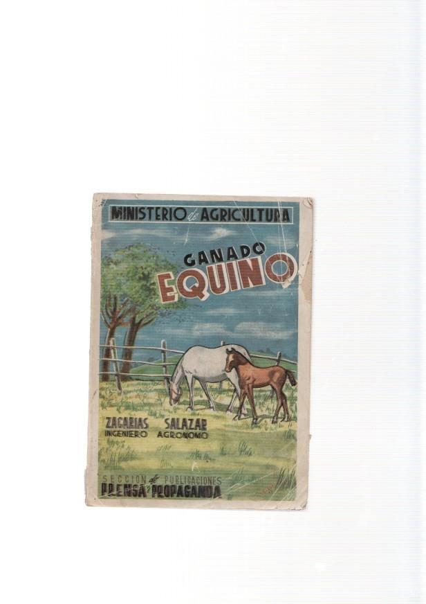 Ganado equino