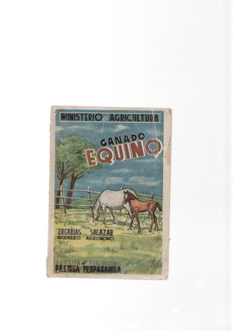 Ganado equino