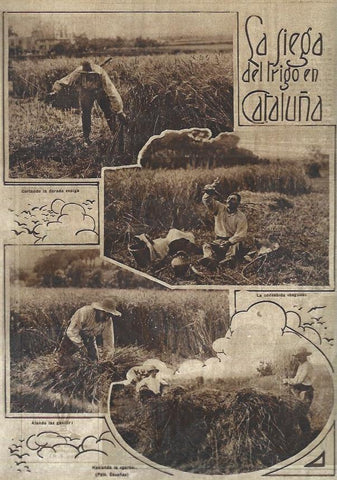 LAMINA 31615: Siega del trigo en Cataluña