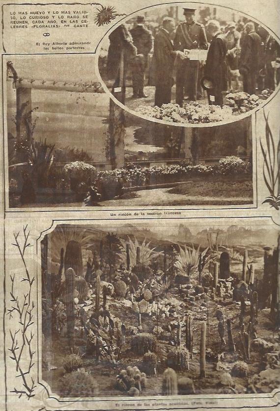 LAMINA 31592: Floralias de Gante, Francia