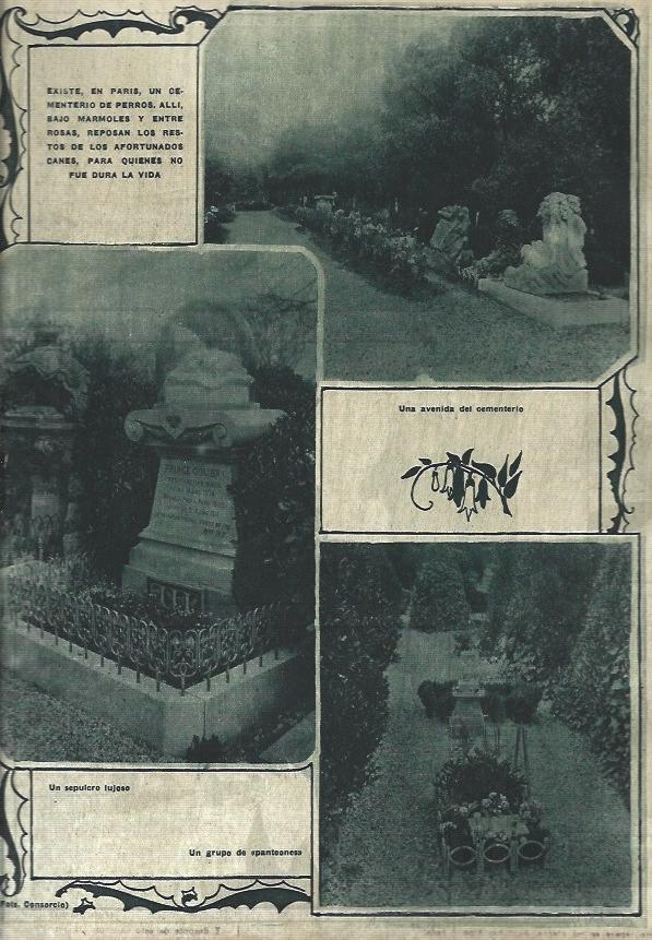 LAMINA 31678: Cementerio de perros de Paris