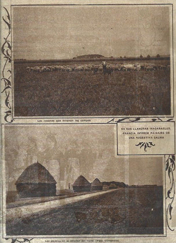 LAMINA 31646: Campos de Francia
