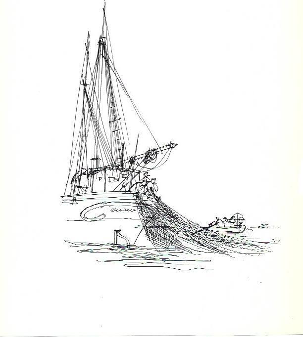 LAMINA 31428: Dibujo