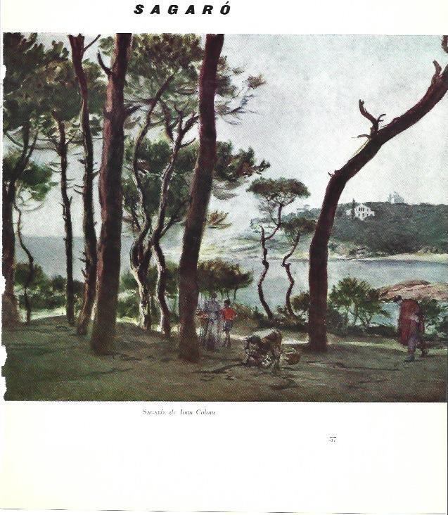 LAMINA 31449: Sagaro, por Joan Colom