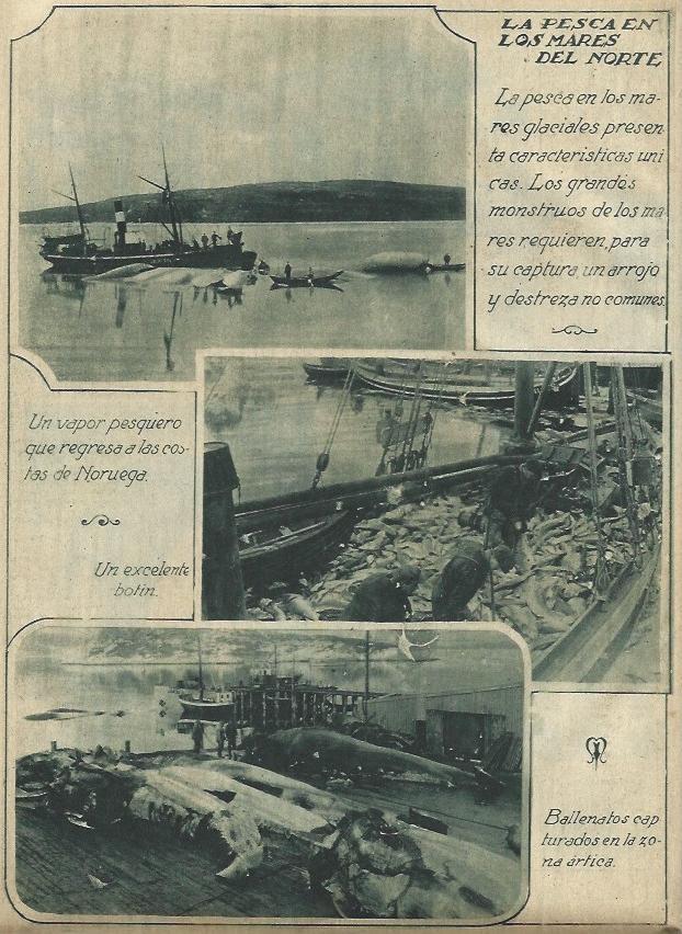 LAMINA 31561: Pesca en los Mares del Norte