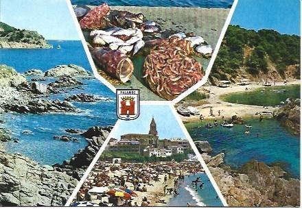 POSTAL L03814: Panoramica de Palamos