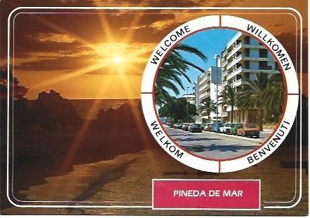 POSTAL L03763: Vista de Pineda de Mar