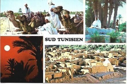 POSTAL L03717: Vistas del sur de Tunez