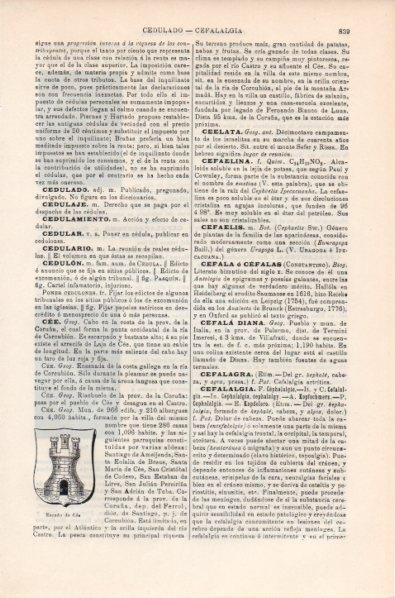 LAMINA V11855: Escudo de Cee