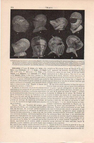LAMINA V11861: Celadas