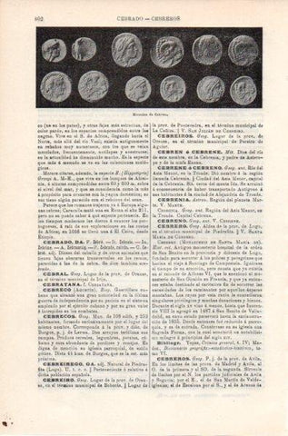 LAMINA V11847: Monedas de Cebrene