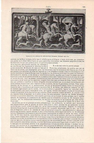 LAMINA V11833: Escena de caza