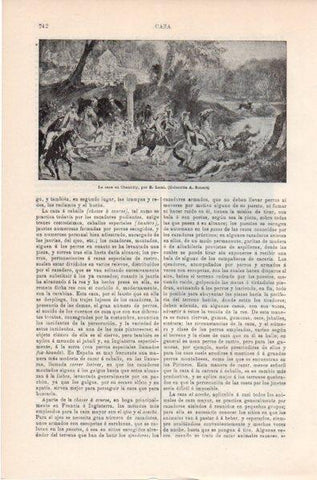 LAMINA V11834: La caza en Chantilly, por E. Lami