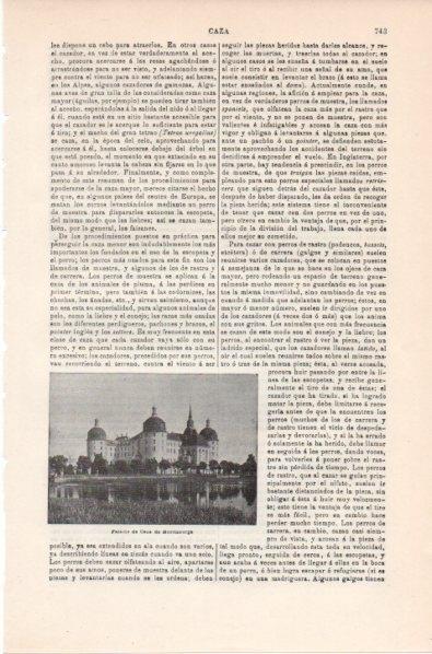LAMINA V11835: Palacio de Caza de Moritzburgo