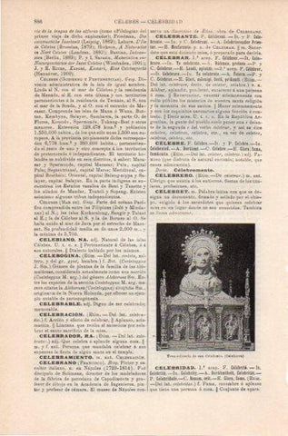 LAMINA V11863: Urna relicario de san Celedonio