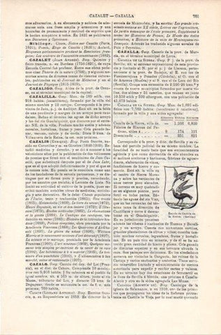 LAMINA V11840: Escudo de Cazalla de la Sierrra