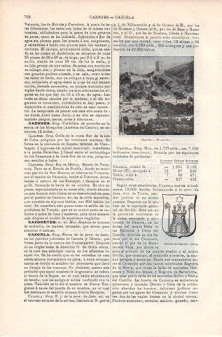 LAMINA V11842: Castillo y escudo de Cazorla