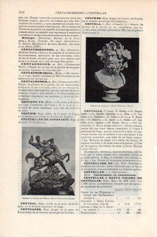 LAMINA V11890: Cabeza de Centauro