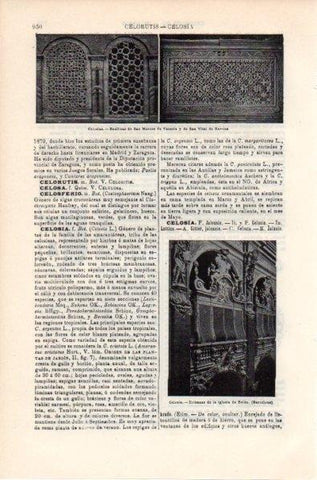LAMINA V11868: Celosia de la iglesia de Belen, Barcelona