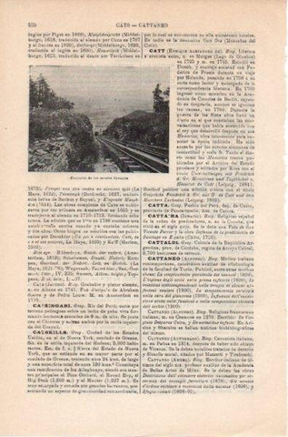 LAMINA V11798: Funicular de los montes de Catskills