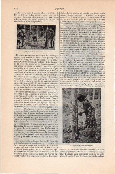 LAMINA V11806: Recoleccion de caucho en Ceylan