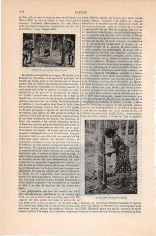LAMINA V11806: Recoleccion de caucho en Ceylan