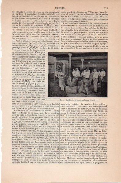 LAMINA V11807: Corte y clasificacion del caucho en Manaos