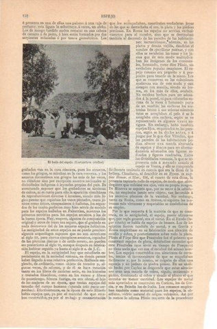 LAMINA V12004: El baile del espejo, costumbre criolla